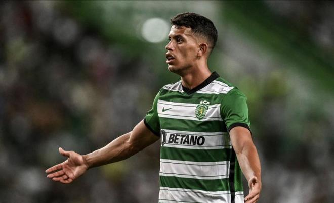 或许会在不 或许会在不