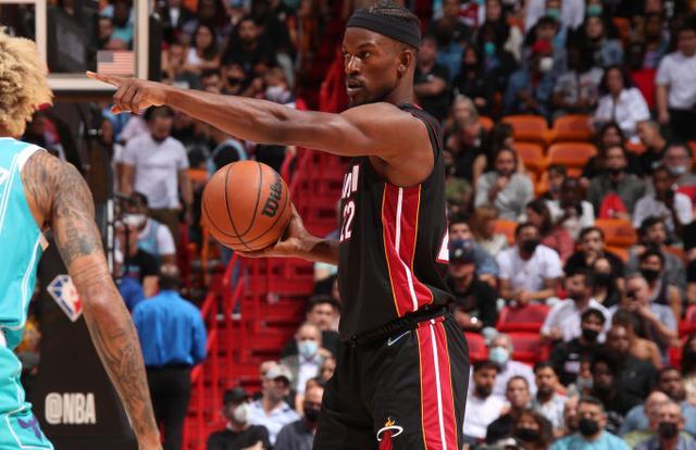 从达拉斯牛 从达拉斯牛