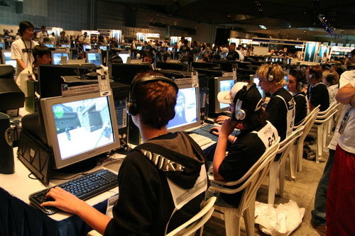 装菜鸟后展 装菜鸟后展