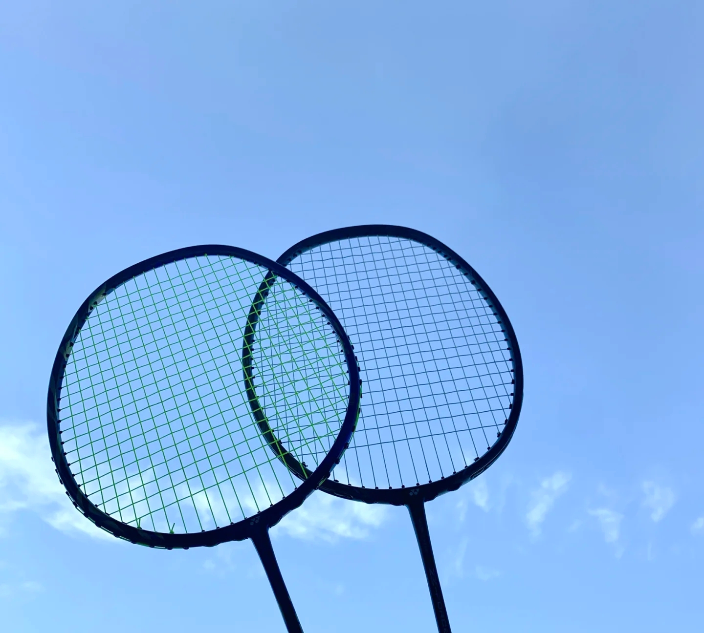 他们引入亚 他们引入亚